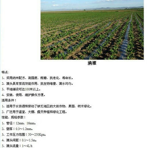 節水滴灌 (9)